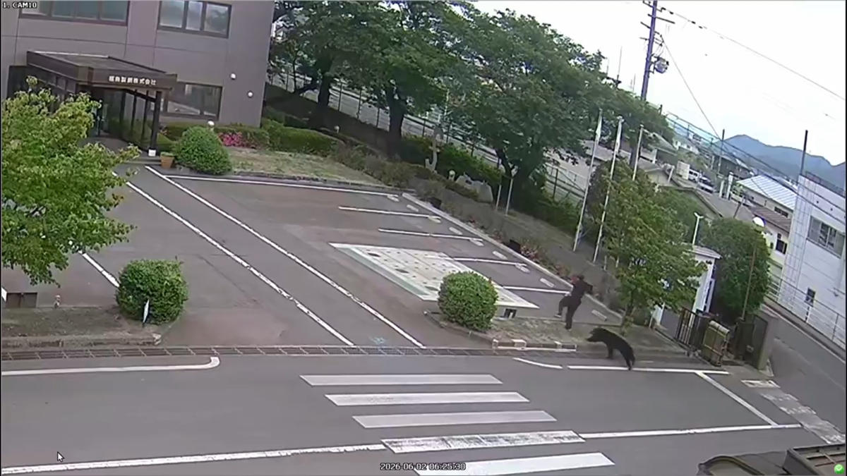 A bear, right, chases a person, second right, on the the Fukushima Steel Works premises in Fukushima, Japan in this image made from the security camera footage on June 2, 2026. (Fukushima Steel Works via AP)