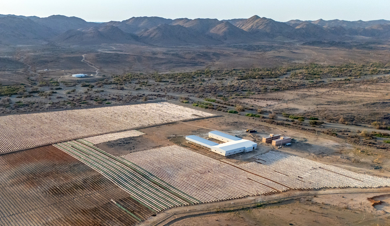 Saudi Arabia’s first ‘coffee city’ helping drive economy in Baha