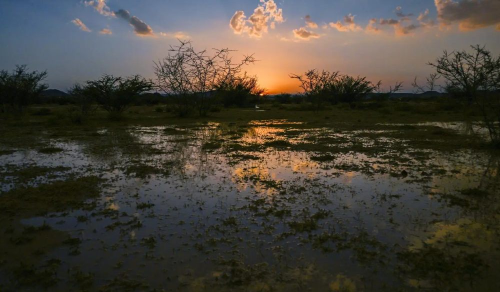 Southern Al-Baha is enjoying lush greenery and vivid landscapes, thanks to recent rains. (SPA)