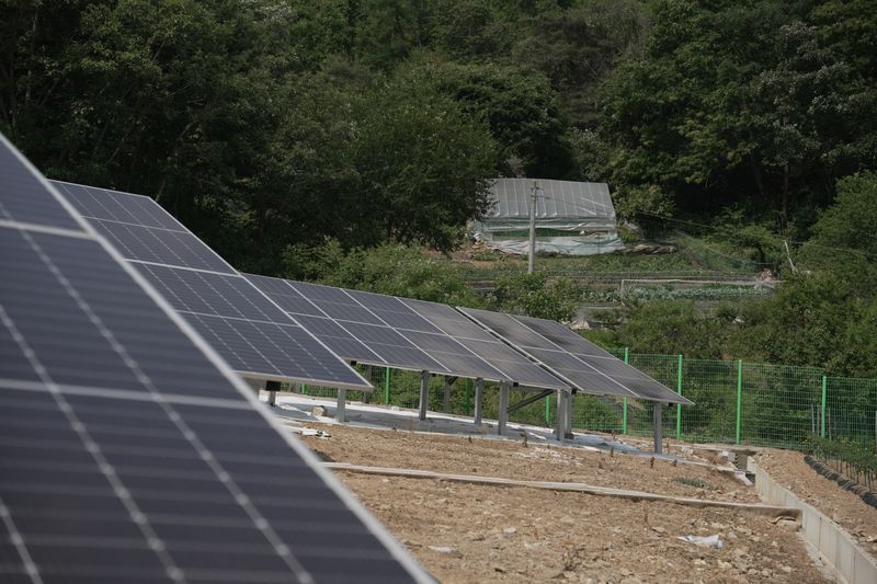 A farm in South Korea’s Gangwon province which uses solar panels build by government-backed loans to provide additional income and create jobs. (Supplied)
