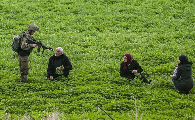 Agricultural exports originating from illegal settlements in the occupied West Bank and the Golan Heights in Syria are routinely mislabeled as Israeli products when entering European markets, according to a new report. (Reuters/File Photo)