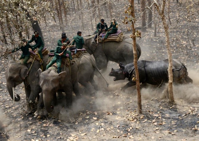 South African sentenced in ‘world’s largest’ rhino case trafficking