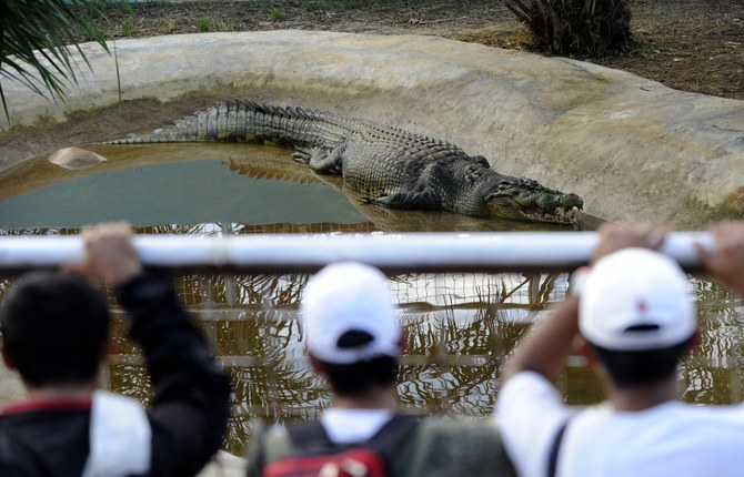Man freed on bail after toddler found in UK zoo’s crocodile pen