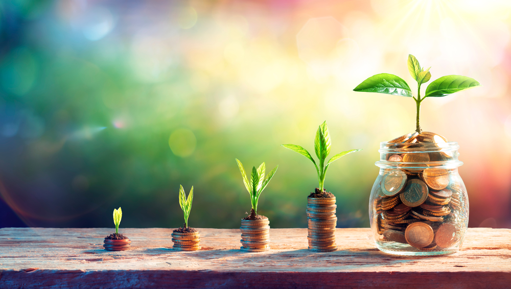 SWFs, globally, have grown faster than any other institutional investor class over the past decade. Shutterstock