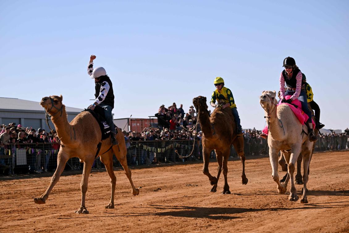 Jockey Patrick Dennis, left, riding camel Young Gun powers to victory in the Marree Australasian Camel Cup run in the South Australian outback town of Marree on June 27, 2026. (AFP)