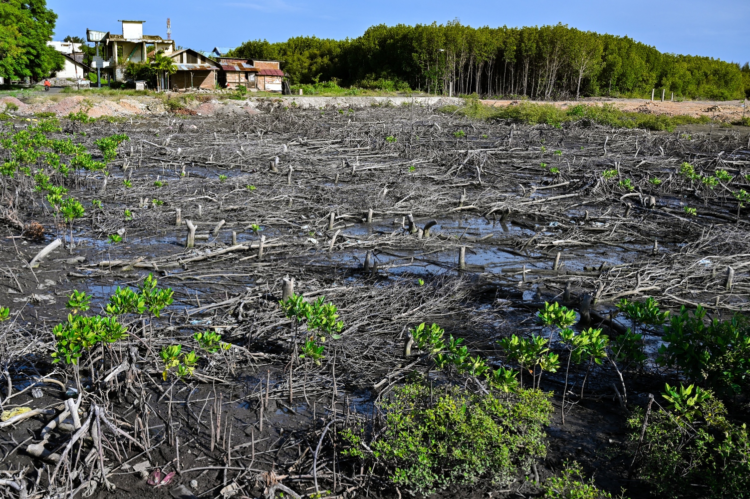 Climate impacts manifest across regions, disproportionately burdening populations with limited adaptive capacity (File/AFP)