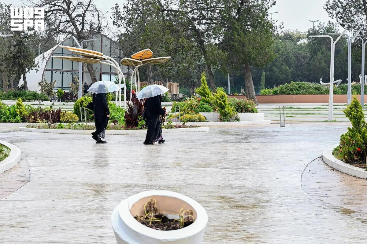 Rainfall boosts Al-Baha’s summer appeal