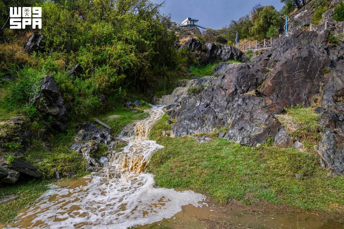 Rainfall boosts Al-Baha’s summer appeal