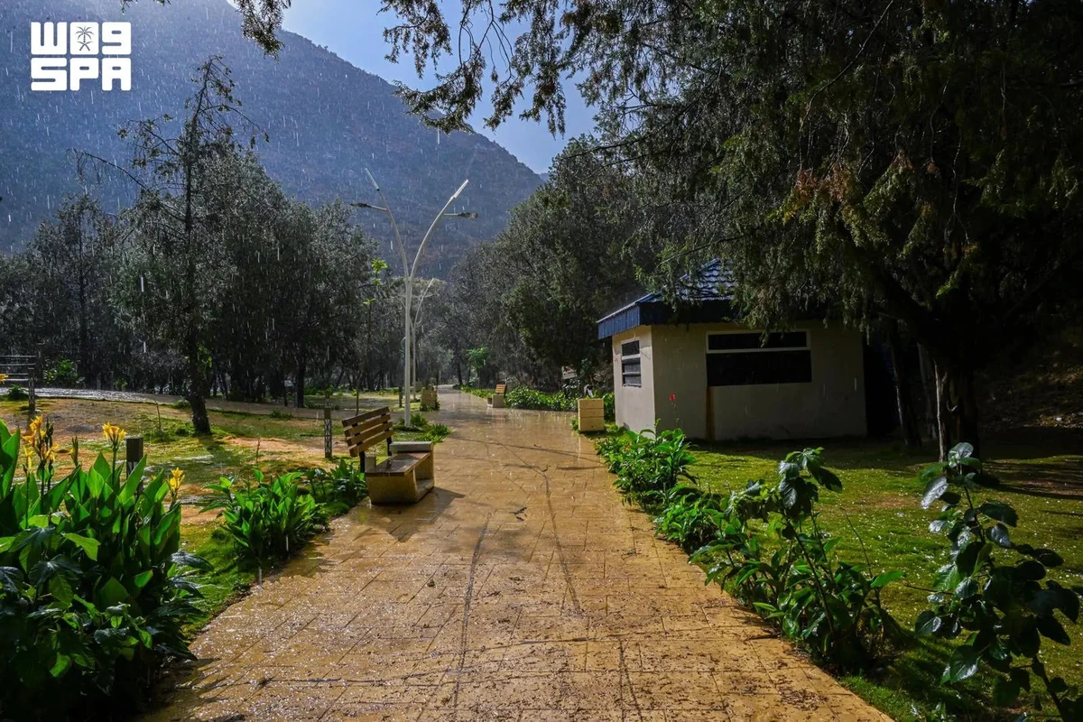 Rainfall boosts Al-Baha’s summer appeal