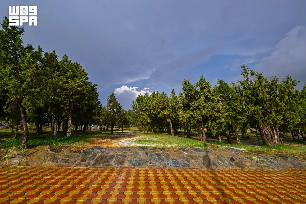 Rainfall boosts Al-Baha’s summer appeal