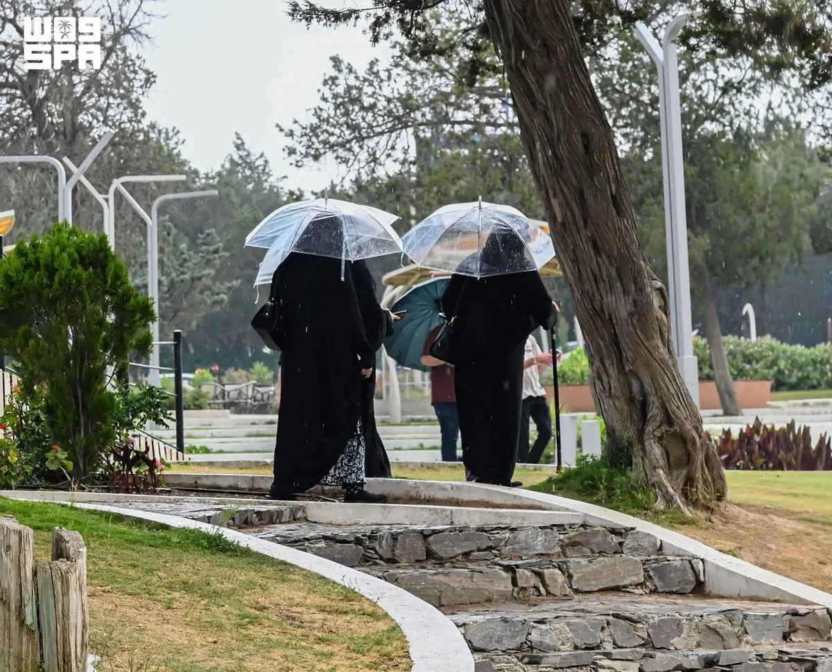 Rainfall boosts Al-Baha’s summer appeal