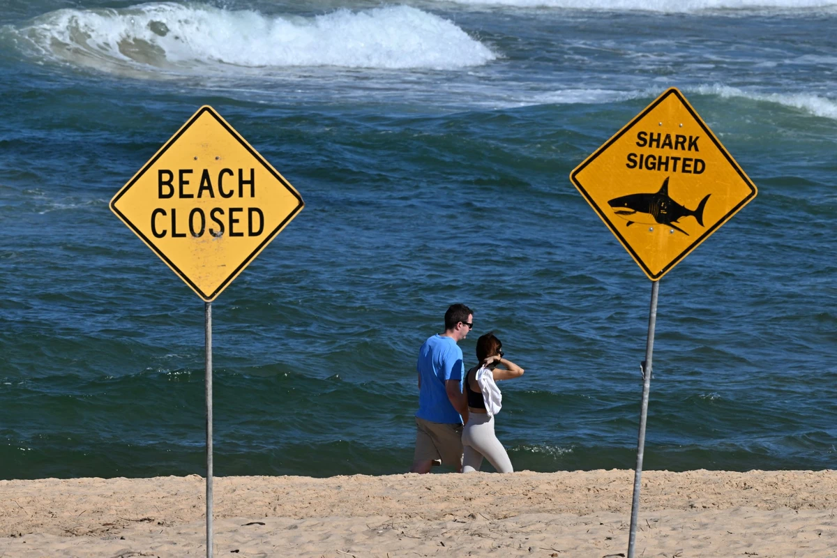 Diver in ‘serious’ shark attack in Western Australia: authorities