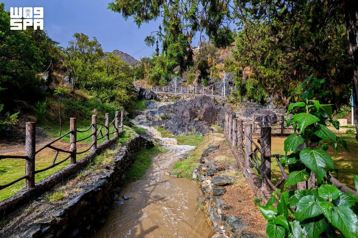 Rainfall boosts Al-Baha’s summer appeal