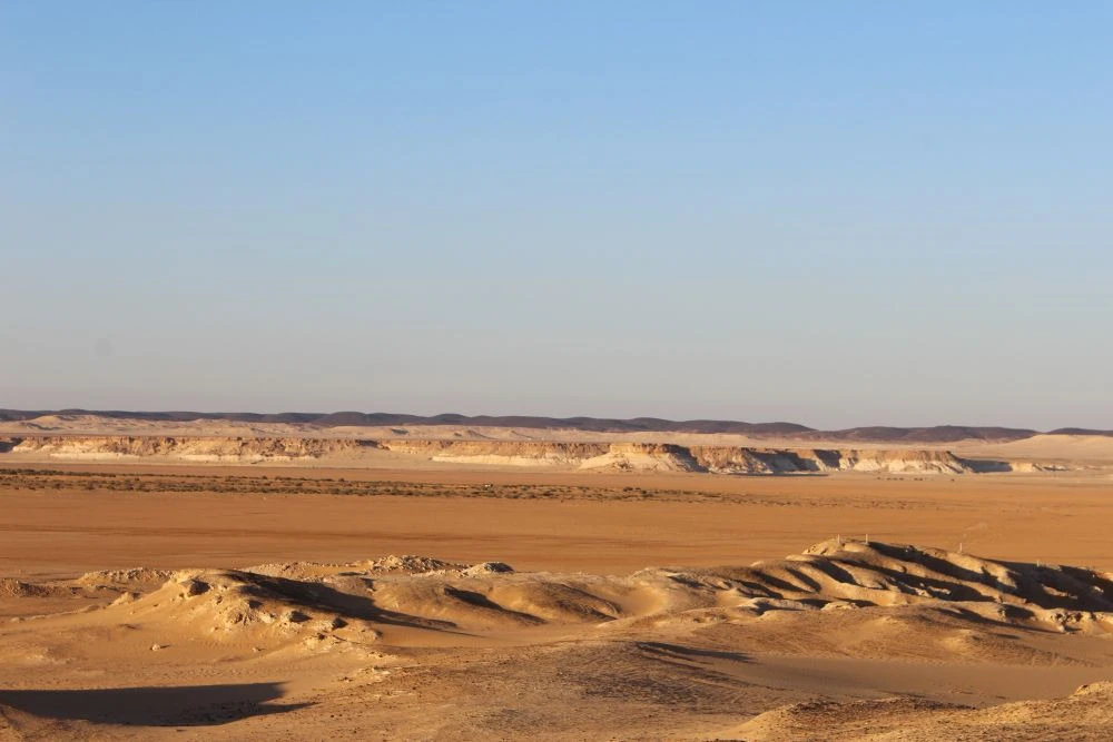 Saudi researchers uncover 34-million-year-old marine formation in Jouf