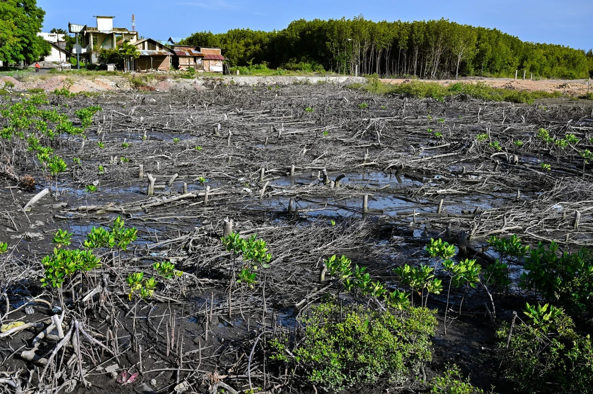 Climate impacts manifest across regions, disproportionately burdening populations with limited adaptive capacity (File/AFP)