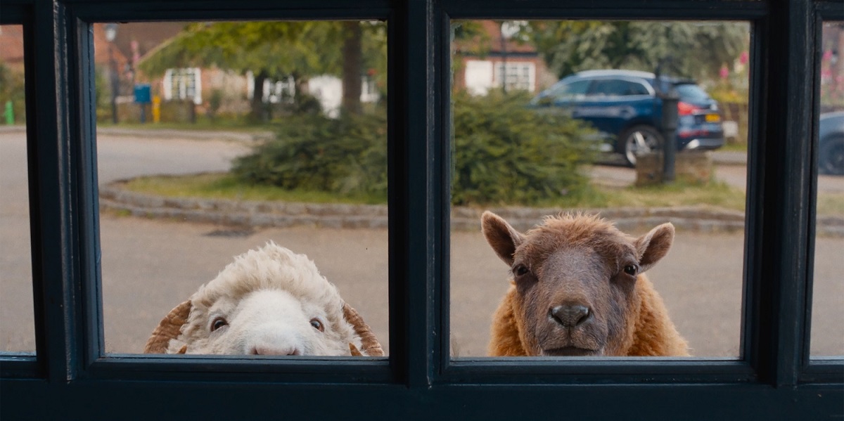 (L to R) Mopple (voiced by Chris O'Dowd) Lily (Julia-Louis Dreyfus) in 'The Sheep Detectives.' (Supplied)