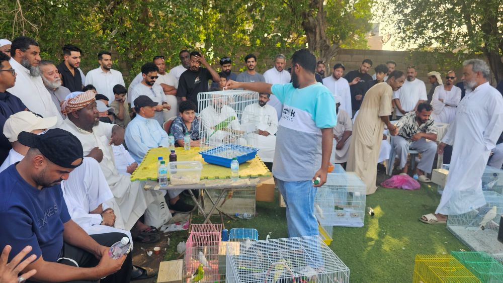 The Haraj Bird Market in the south of Jeddah hosts a lively, weekly public auction every Friday afternoon for amateurs, hobbyists and bird enthusiasts. (AN Photo)