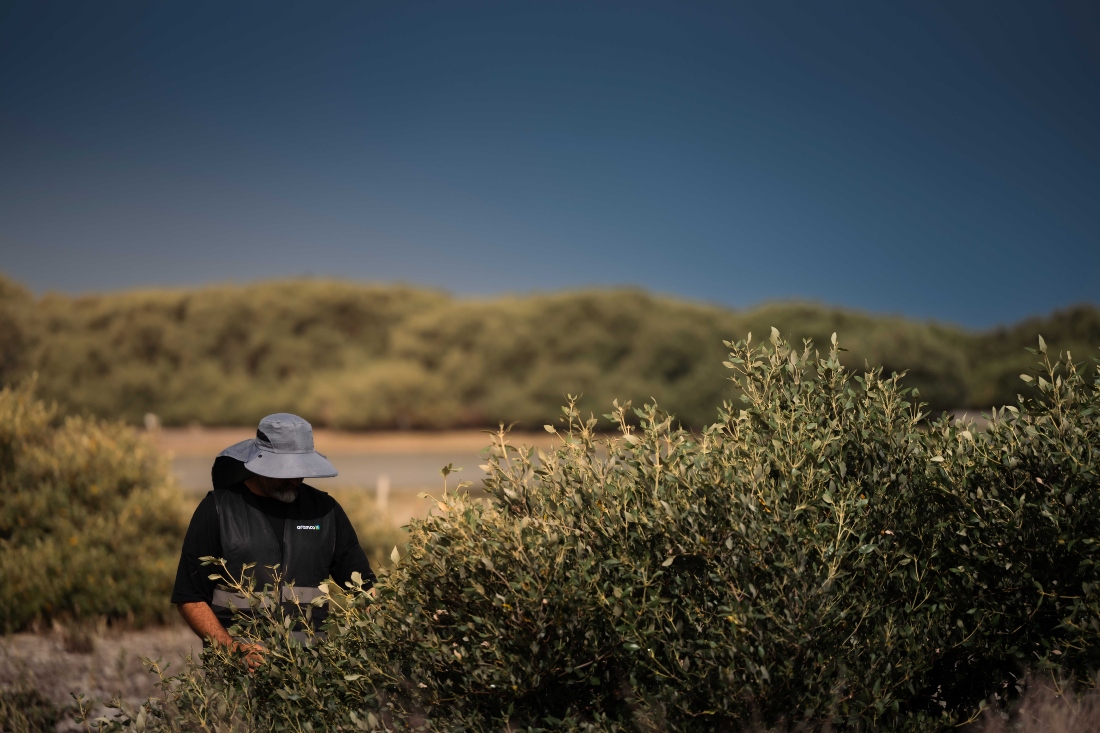 (Photo/Aramco)