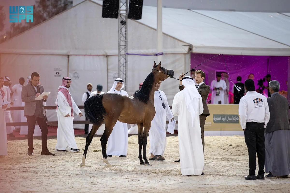 On World Horse Day, the King Abdulaziz Public Library highlighted its efforts to preserve Arabian horse heritage through rare manuscripts, research and scientific publications. (SPA file photo)