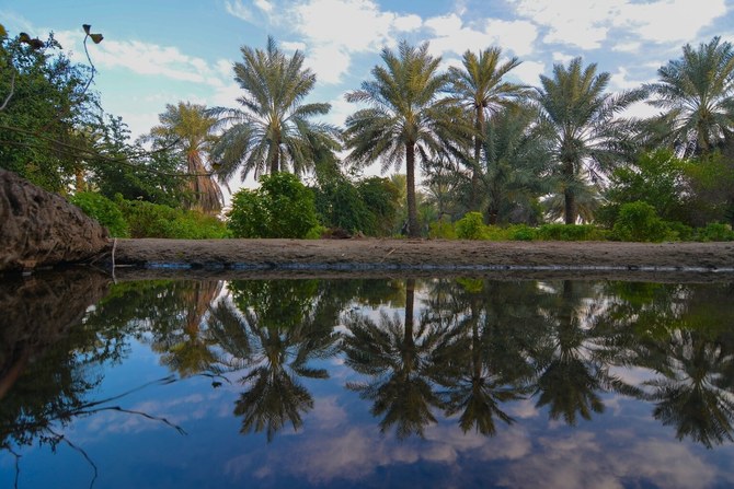 Rural farms across the Madinah region are attracting growing numbers of visitors during the evening hours, emerging as preferred tourism and recreation destinations. (Nakheel Alya)