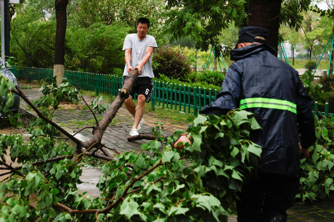 People drag a fallen tree to clear a road after heavy rain and strong winds brought by Typhoon Bavi in Wenzhou, Zhejiang province, China, on July 12, 2026. (Reuters)