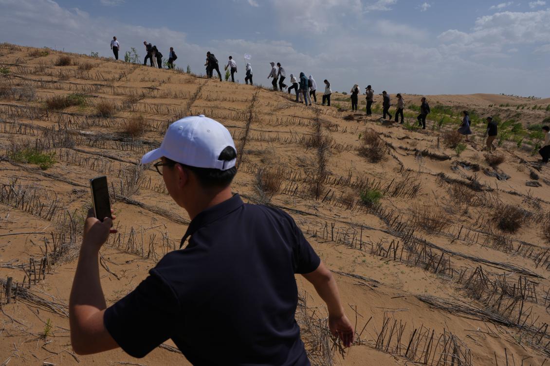 China’s ‘Green Great Wall’ tames desert growth, but scientists warn the fight is not over