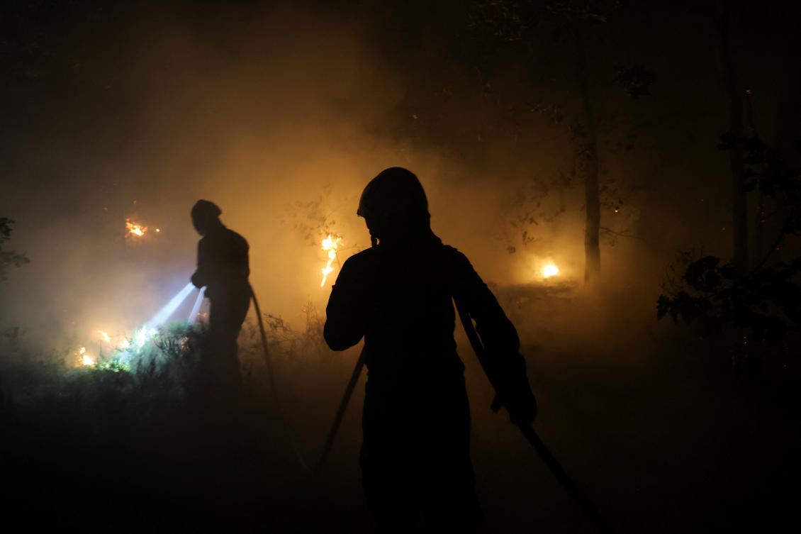 Fontainebleau Forest: Fires have swept across more than 1,900 hectares