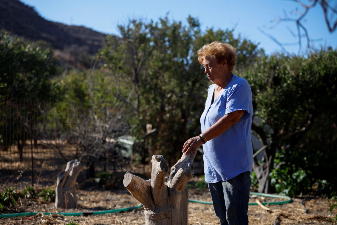 Farmer Evdokia Palatianou stands by a dried out and cut tangerine tree, at her orchard withered by drought, in the village of Livadi on the island of Astypalaia, Greece, July 13, 2026. (REUTERS)