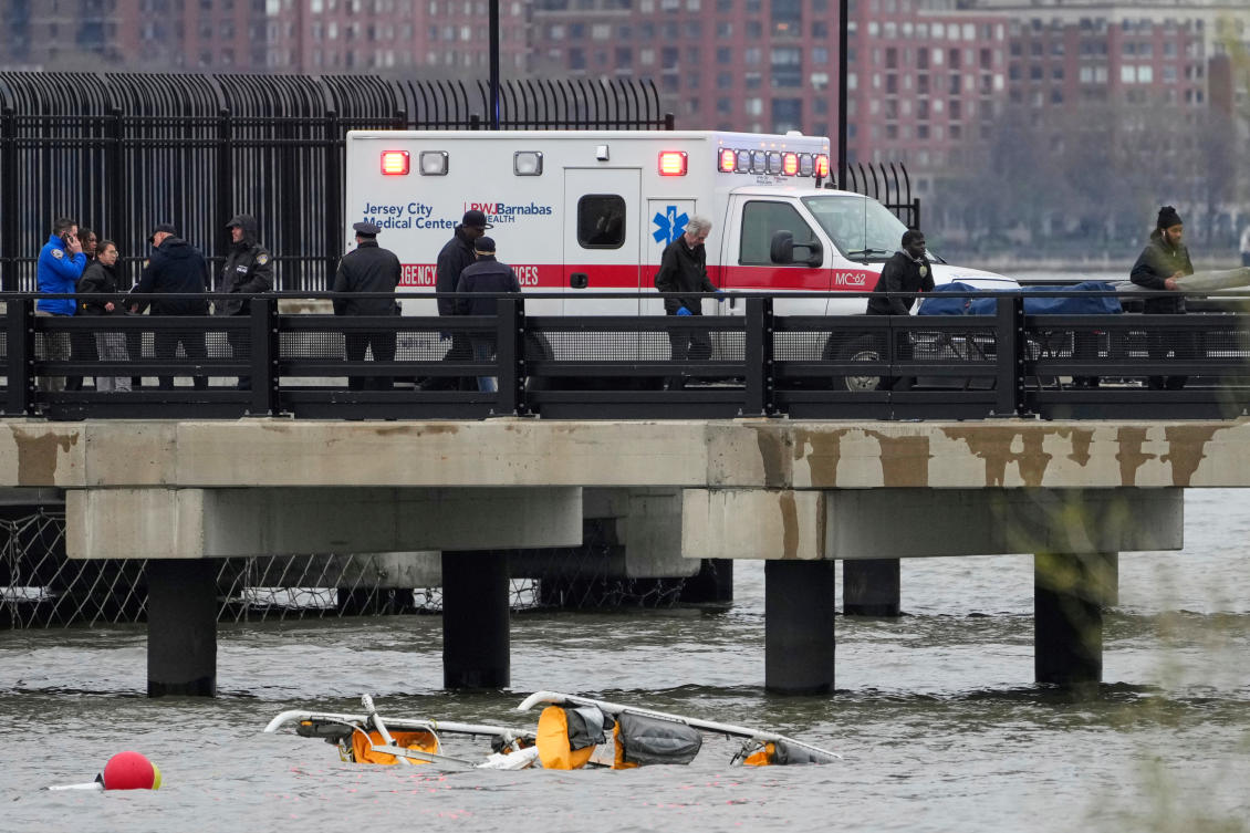Signs of bird strike in wreckage of deadly NY chopper crash: investigators