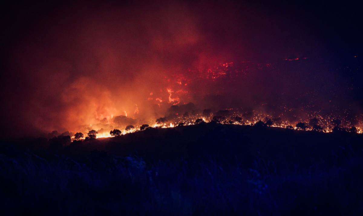 More than 80,000 flee forest infernos in France and Spain