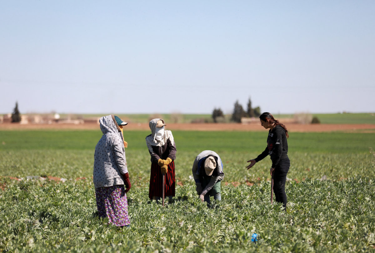Saudi aid agency KSrelief and the UN are investing in women-led enterprises to revive Syria’s rural economy and livelihoods. (Reuters)