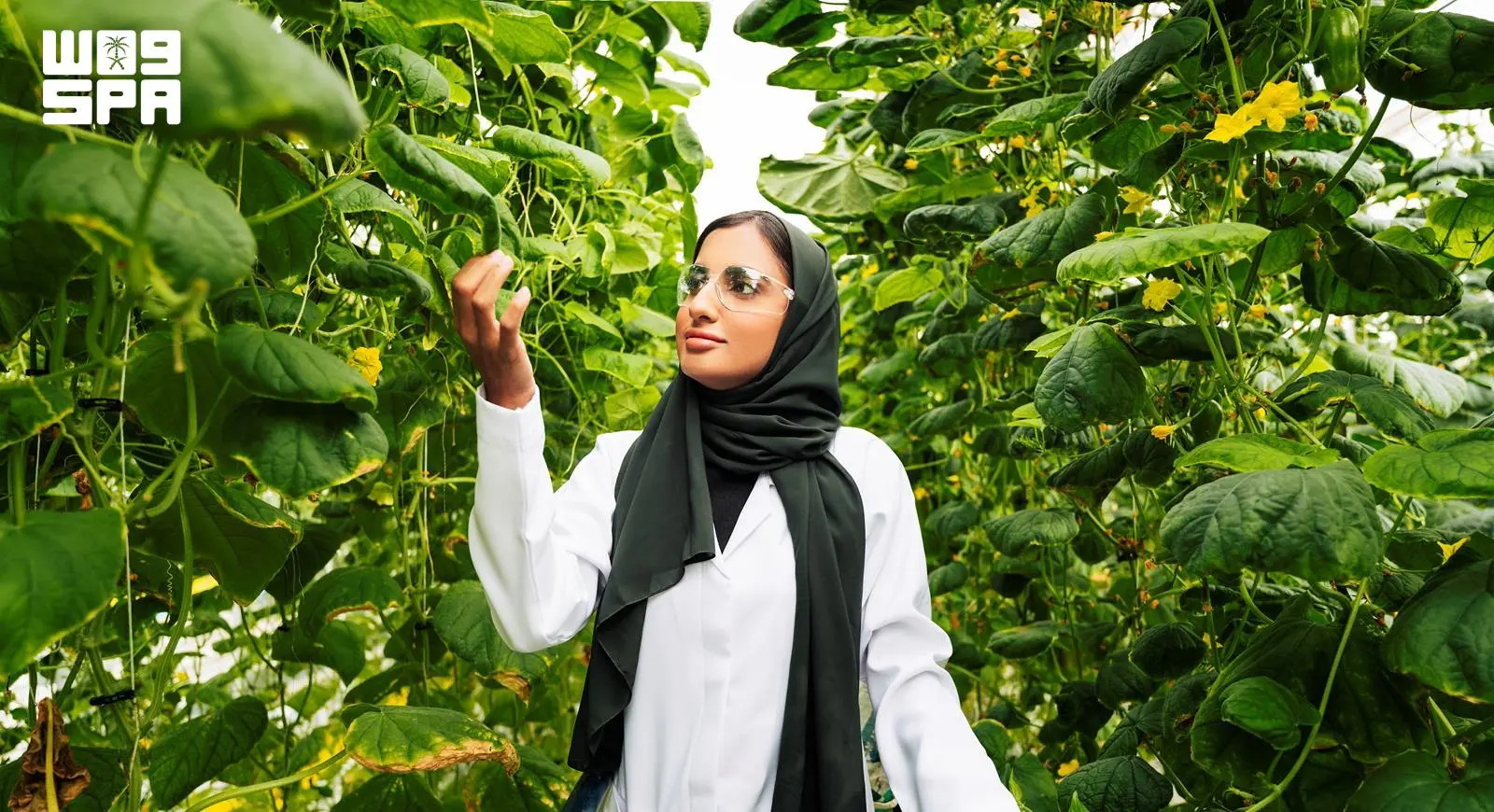 Saudi Arabia shapes carbon markets sector