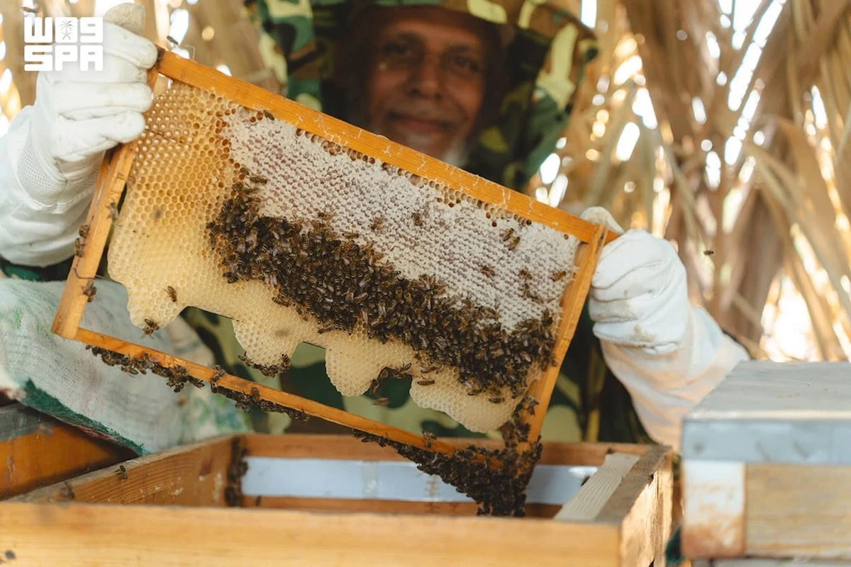 Saudi Reef Academy empowers rural beekeepers