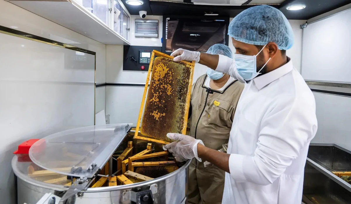 Mobile honey processing units to support Saudi beekeepers