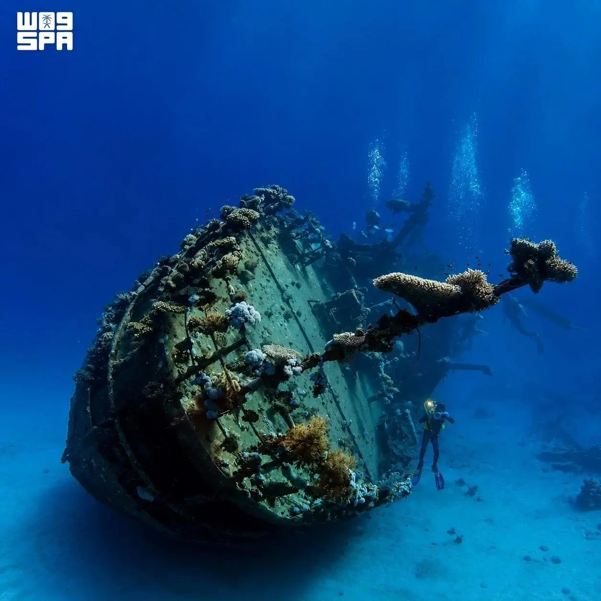 Submerged treasures tell story of Umluj shipwreck and Red Sea trade