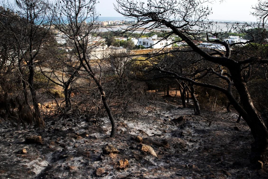 Tunisia records 900 fires in 72-hour window during scorching heatwave