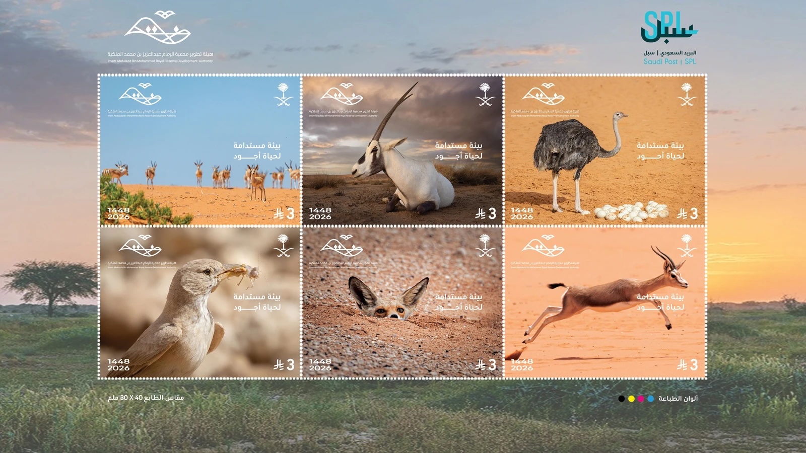 Located northeast of Riyadh, approximately 100 km away, the reserve is home to native and rare wildlife, such as gazelles, red-necked ostriches, and Arabian oryx, in addition to resident and migratory birds. (Akhbaar 24)