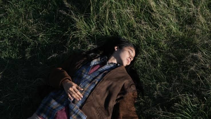 6 RSIFF-backed films screening at Toronto International Film Festival