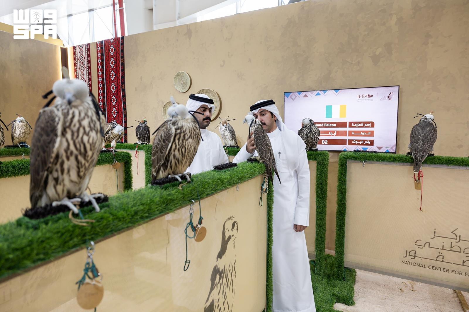 Irish farm brings 200 falcons to Malham event