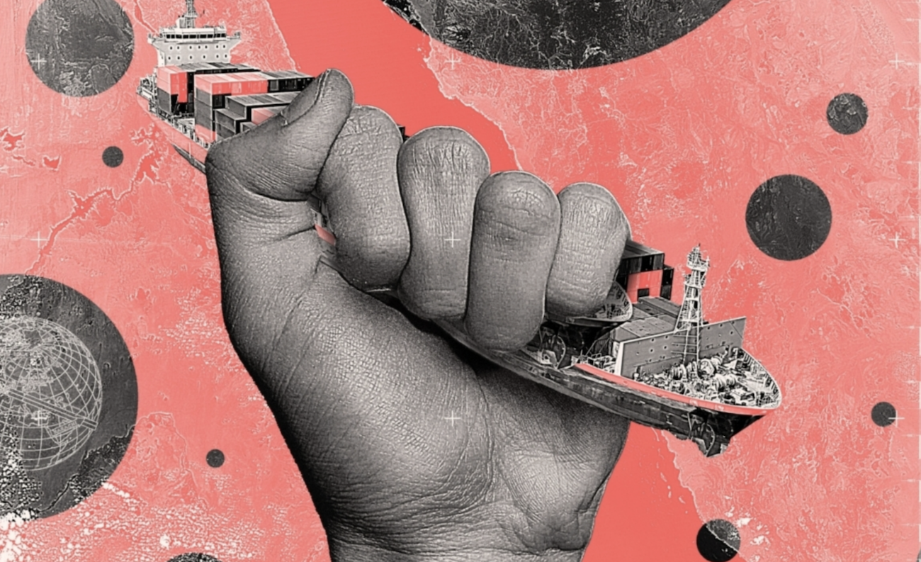 Red Sea defence alliance: opportunities and challenges