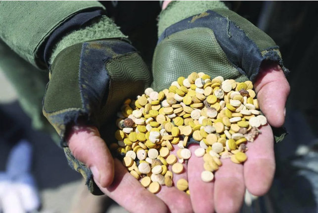 Lebanese army seizes 1.2 million captagon pills