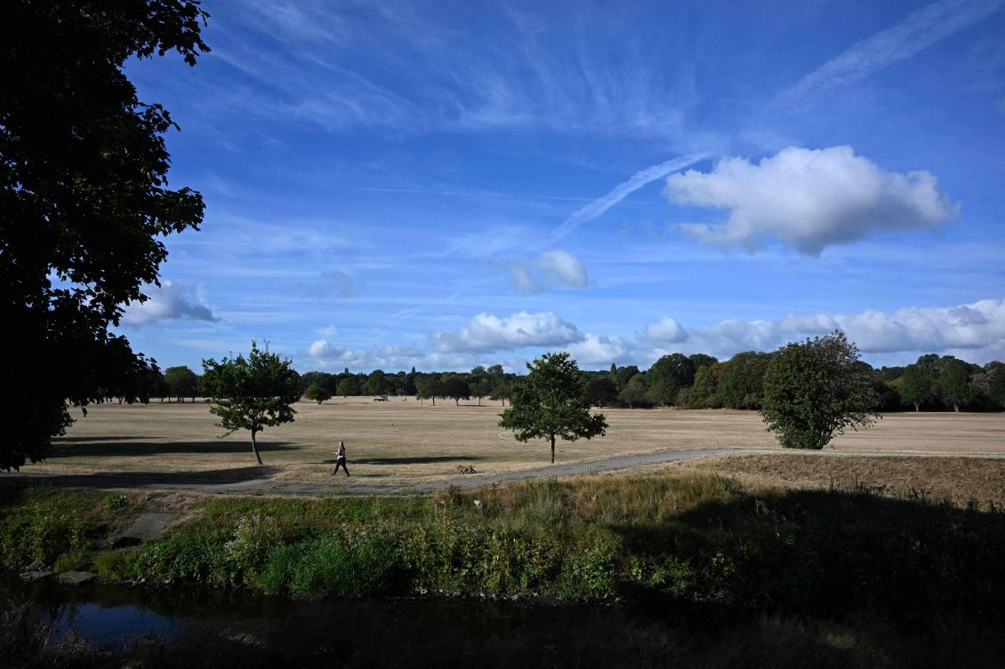 A woman (L) walks her dog across dried out and yellow grass, in Perry Hall Park in Birmingham, central England on August 10, 2026. (AFP)