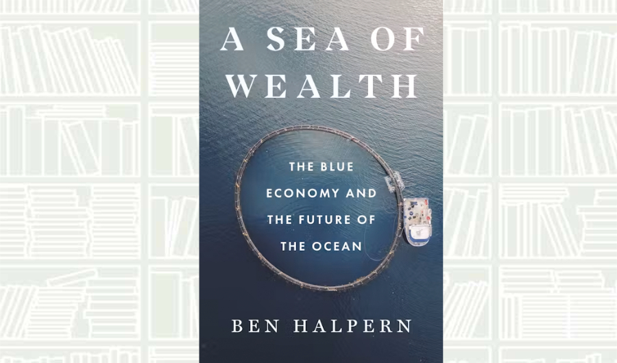 What We Are Reading Today: ‘A Sea of Wealth’