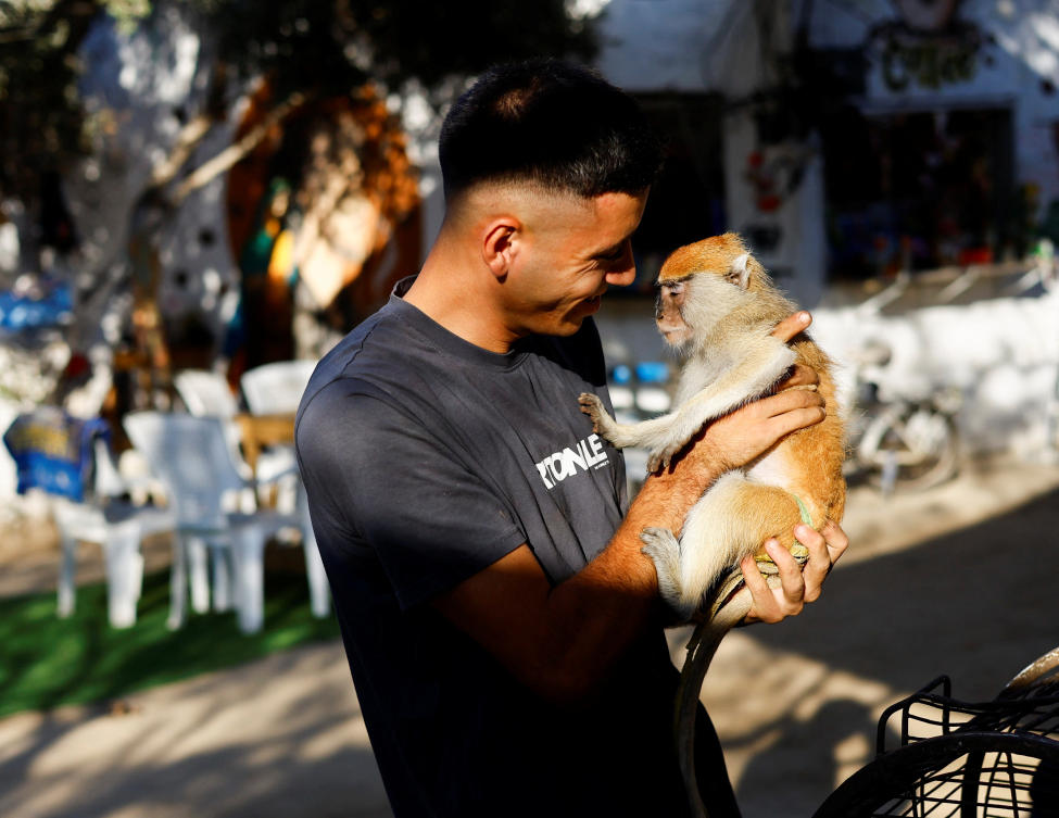 A Palestinian zookeeper interacts with a monkey during a visit to a zoo in Nuseirat, in the central Gaza Strip, August 6, 2026. (REUTERS)