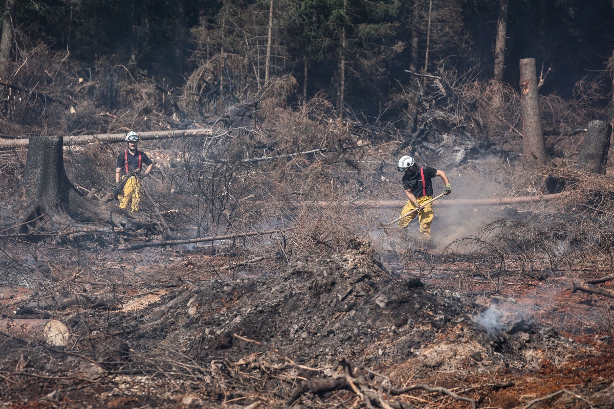 European wildfires reveal a hidden danger: buried bombs and mines from WWI and WWII