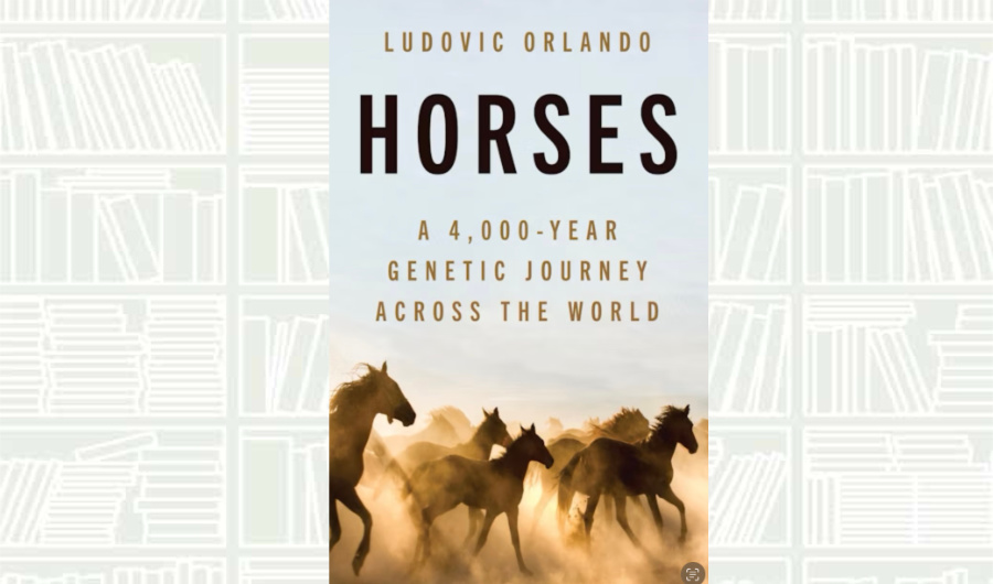 What We Are Reading Today: ‘Horses’ by Ludovic Orlando