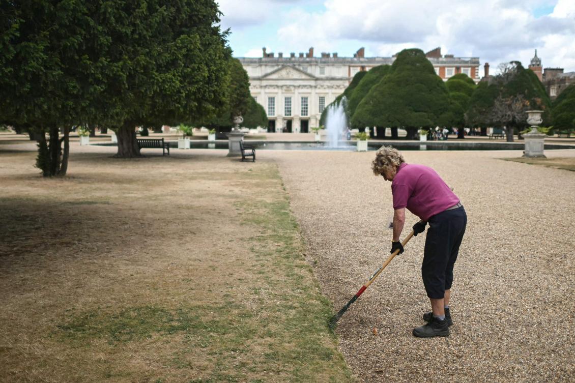 Trees ‘giving up’: climate change hammers historic English gardens