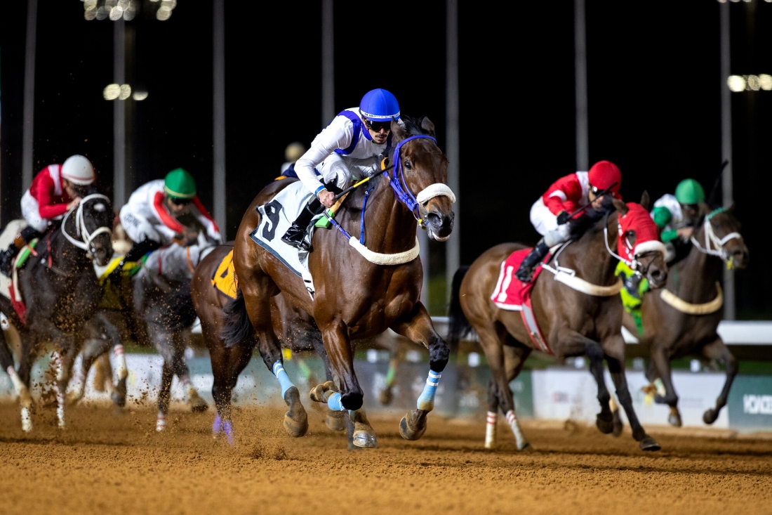 Thundersquall wins at King Abdulaziz Racecourse on Jan. 30, 2026. (JCSA/Ali Abdullah Alzunaydi)