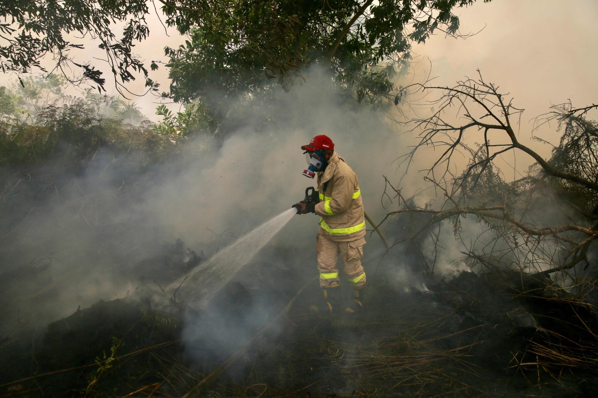 A firefighter extinguishes a peatland fire in the Kranggan area of Palangkaraya, Central Kalimantan. (AFP)