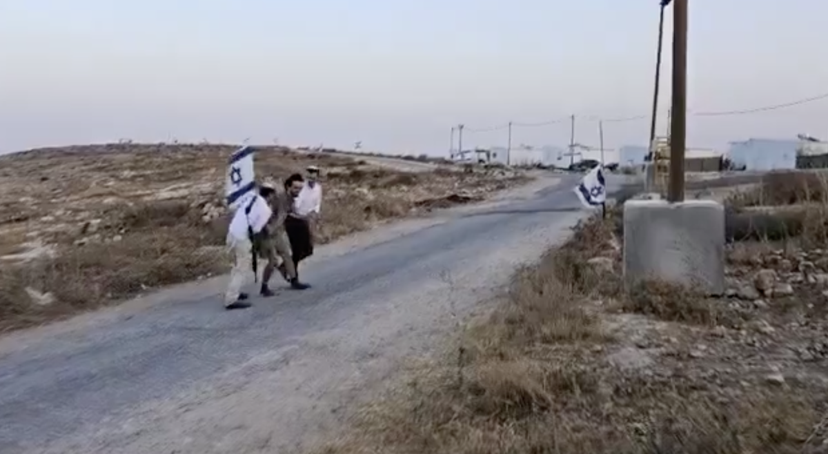 British activist detained by armed settlers in occupied West Bank, handed to Israeli police